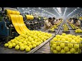 Unbelievable! Millions of Waste Polythene Bags Transformed Into Sport Balls | Most Satisfying