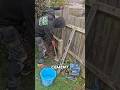 This 40‑Minute Fence Fix Is Pure Genius – No Mixing Required #diy #construction #facts #didyouknow