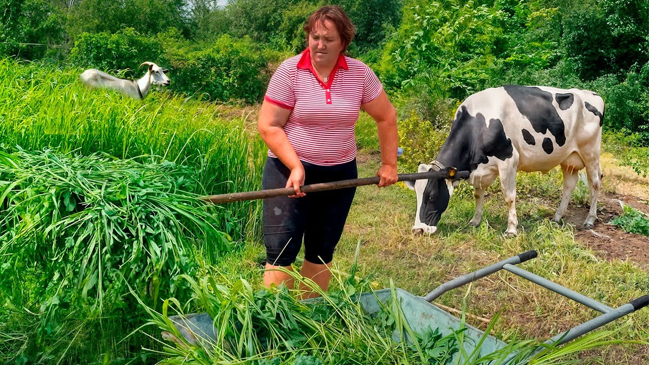 One Village Woman Does It All | Real Ukrainian Summer on the Family Farm