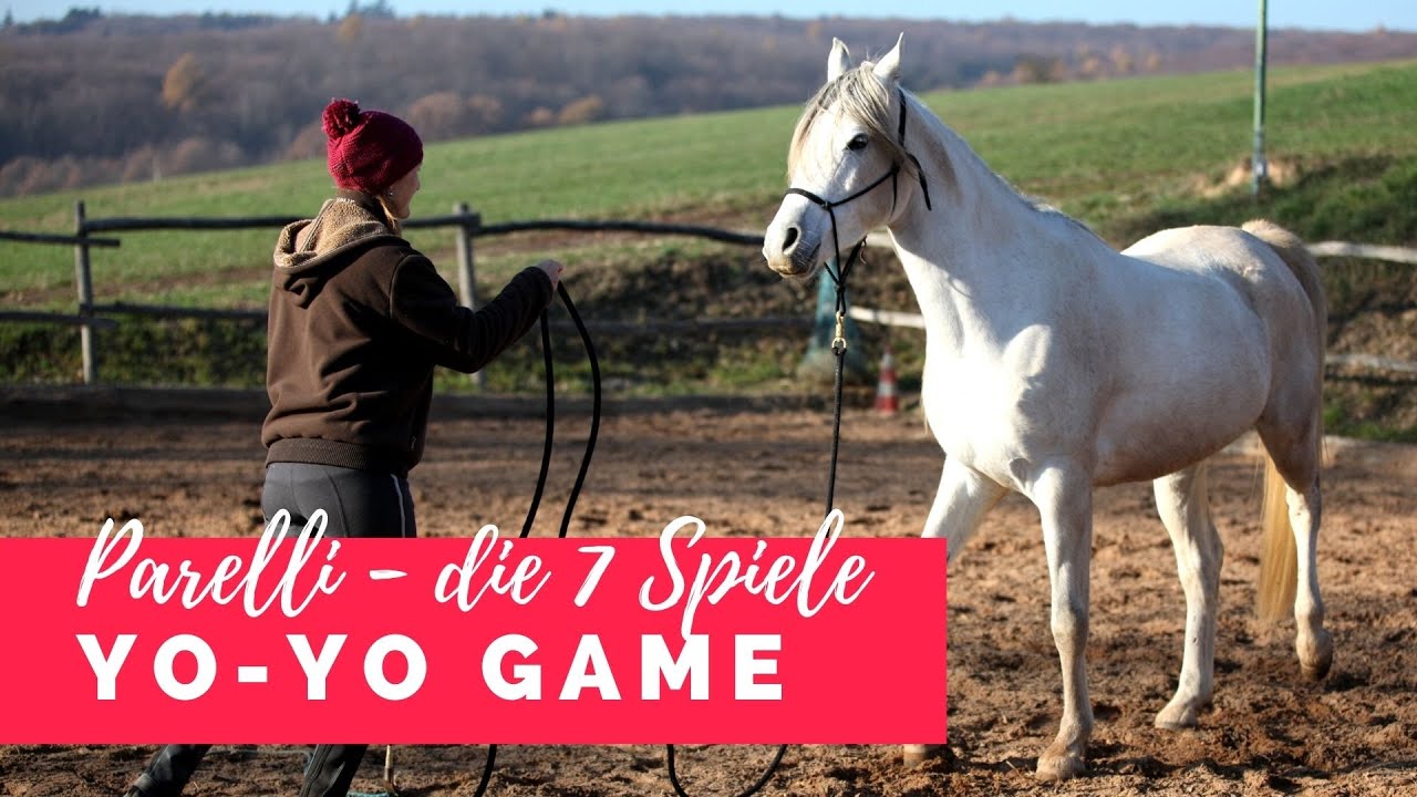 Die 7 Spiele nach Parelli YoYo Game ausführliche Anleitung Teil 4/