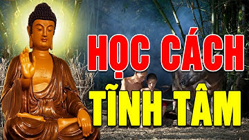 Sông Càng Sâu Càng Tĩnh Lặng   người càng hiểu biết càng khiêm nhường