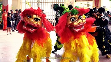 Múa Lân Khai Quang Điểm Nhãn Lân Sư Rồng 2025 đoàn LSR Style 2D cúng Chùa #mualan #liondance