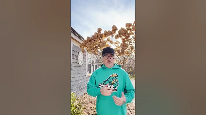 What does a VA appraiser look for?