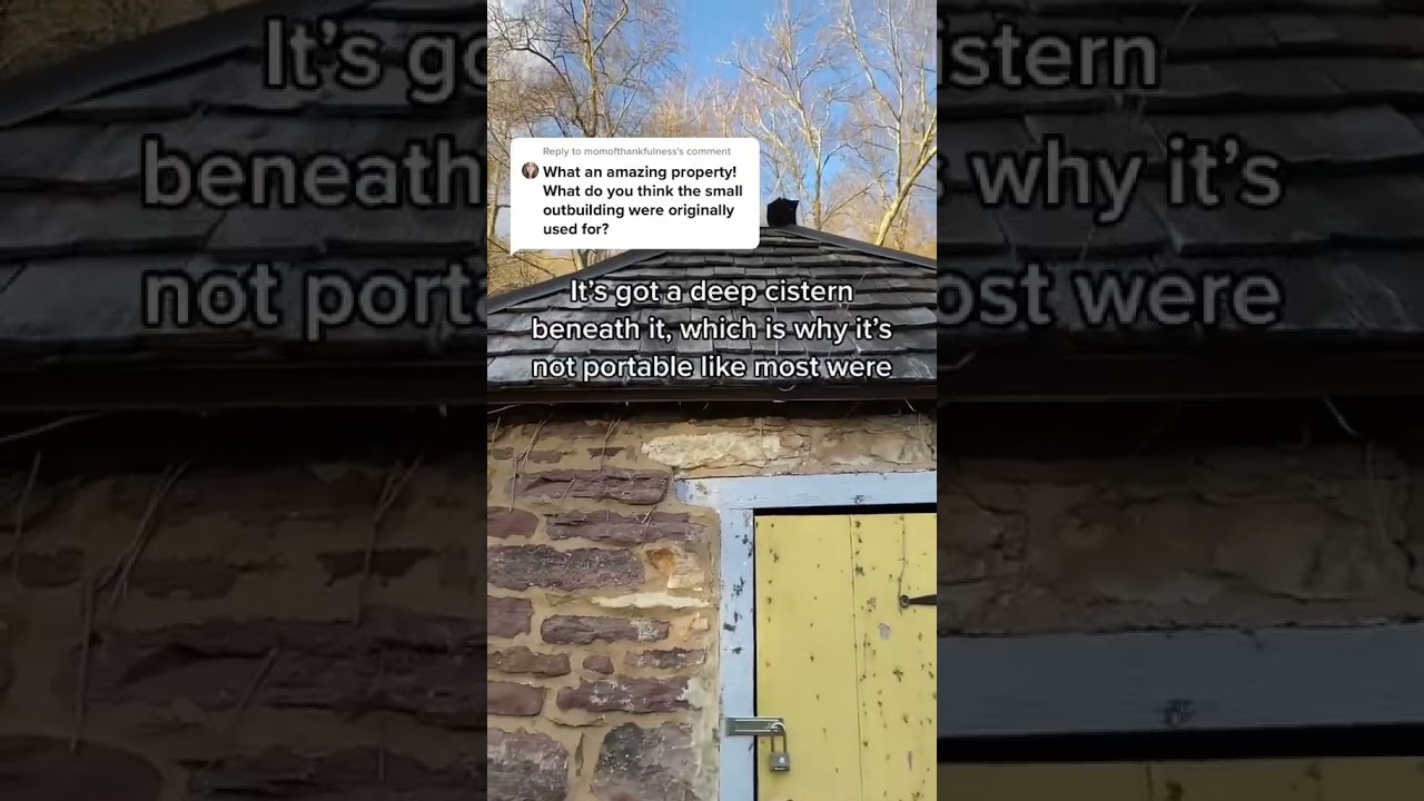 The only working bathroom. 