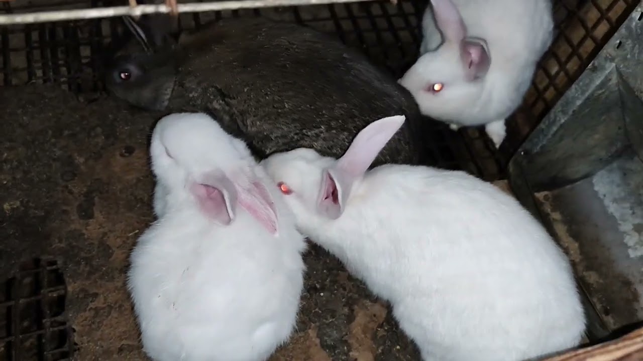 21 декабря 2025 г.