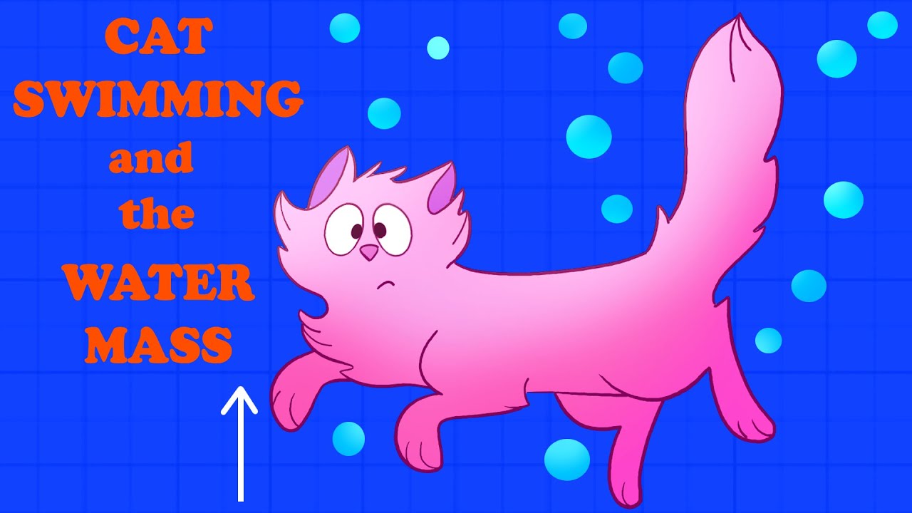 CAT SWIMMING and the WATER MASS YouTube
