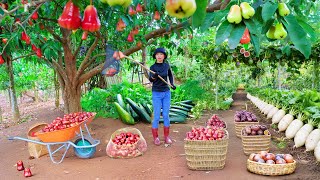Download Lagu Harvest, Sell, Cook: Plums, Passion Fruit, Zucchini, Korean Radish - Farm Life MP3