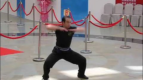 2011 Competition Mui Fa Kuen 梅花拳 (Chiu Wai Style Hung Gar 趙威洪家拳) Hung Gar Kung Fu 洪家功夫