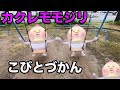 【カクレモモジリ】を見つけた。【こびとづかん】