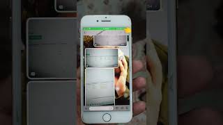 whats app pagal ho gya 😂 #whatsapp #bug #developer #meta #whatsappvideo #devlife #codingblog #fix