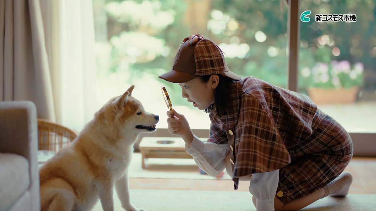 一酸化炭素検知機能付き火災警報器 SC-735｜製品一覧｜家庭用製品｜新