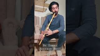 Ne Zaman Anarsam Seni Ney