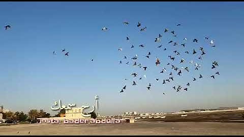 قَالَتْ يَا أَيُّهَا الْمَلَأُ إِنِّي أُلْقِيَ إِلَيَّ كِتَابٌ كَرِيمٌ - سورة النمل