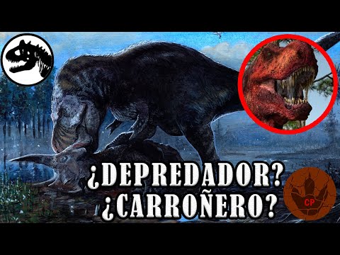 Video: ¿El tiranosaurio rex fue carroñero?