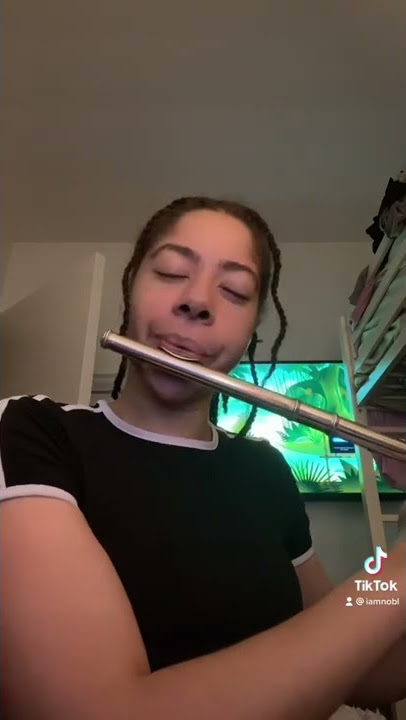 Did I Stutter Challenge (Flute Cover)