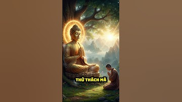 CUỘC ĐỜI LÀ MỘT CHUỖI DUYÊN GẶP GỠ #shorts #video