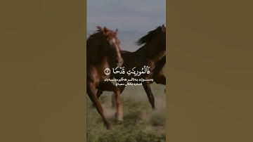 سورة العديات - شيخ خالد الجليل حالات واتس اب
