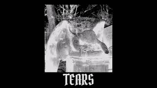 Vampire Valentine - Tears
