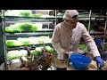 Profitable Indoor Farming: $1200/week Growing Microgreens in a 240 Sq Room