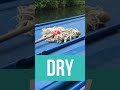 Inland Waterways - Check, Clean, Dry to stop Invasive Species