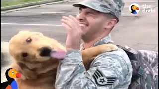 HAPPY Service Dog Reunites With Dad Returning From Helping Hurricane Victims | The Dodo