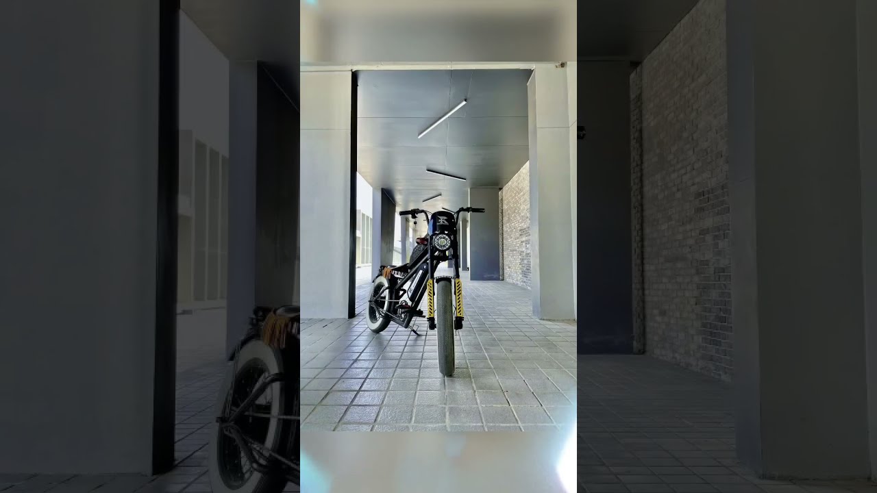 Roarpower 潮流電動輔助自行車 