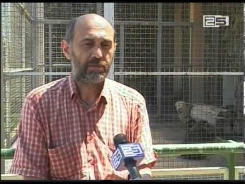 ბათუმის ზოოპარკს ახალი ბინადრები ჰყავს