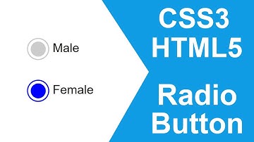 How to Create Custom Radio Button using CSS | Radio Button with HTML and CSS