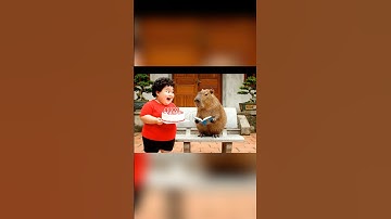 Capybara và chiếc bánh kem chúc mừng #capybara #cartoon #phimhoạthình