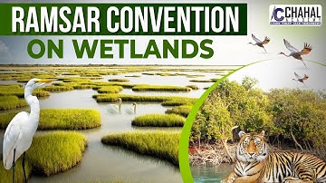 Ramsar Convention on Wetlands for IAS/UPSC Civil Services Exam: Environment Simplified