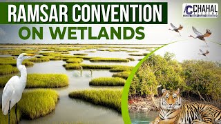 Ramsar Convention on Wetlands for IAS/UPSC Civil Services Exam: Environment Simplified