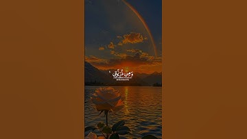 تلاوة خاشعة تريح القلوب #قران_كريم #قرآن #المصحف #راحة_نفسية #لايك #explore #اكسبلور