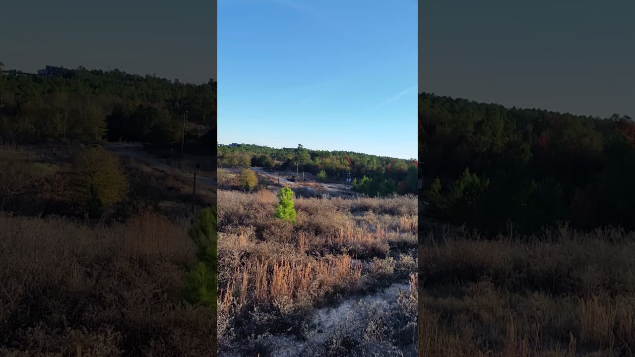 My return to log hill. YouTube