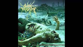 Cattle Decapitation - Not Suitable For Life