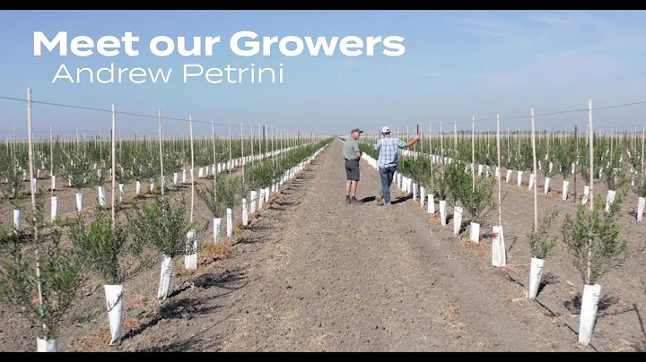 Meet our Growers - Andrew Petrini