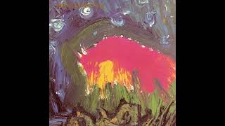 Meat Puppets - 100% Of Nothing