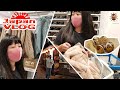 Поход в магазин UNIQLO/Пану джинсы,Канами пижамка/запеченый осьминог —  Влог о Японии от Пан Гайджин