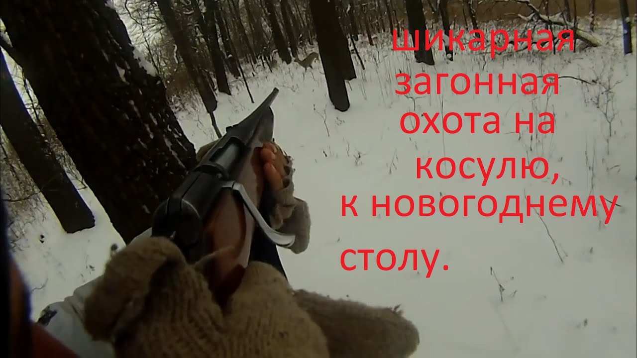 загонная охота на косулю 2019. вдвоем стреляли по одной