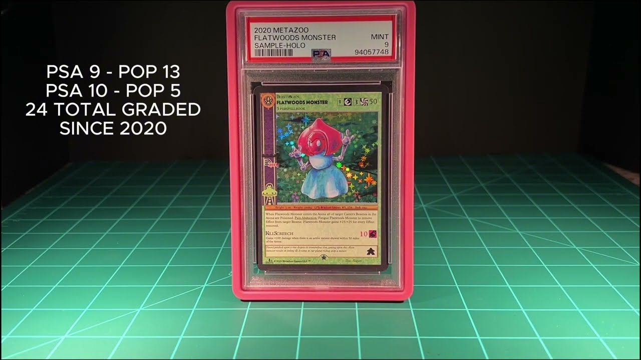 My Metazoo Sample Collection (2024)