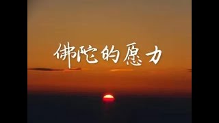 201602 佛陀的愿力40030