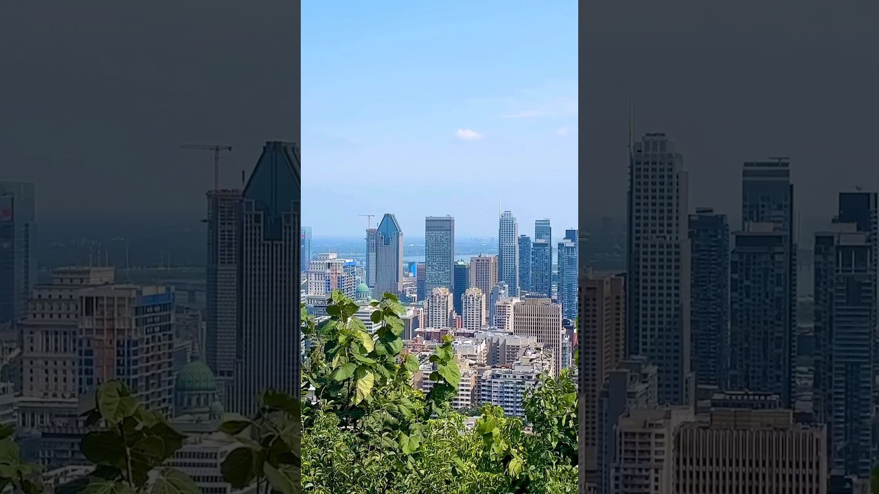 Things to do à Montréal - Le parc Mont Royal 