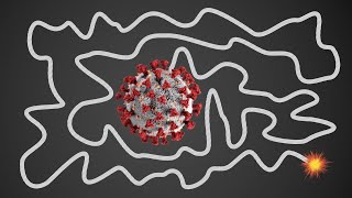 1 Minute Timer BOMB 💣 [CORONAVIRUS] 💥