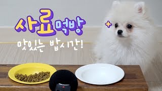 ENG SUB _ Real Sound Mukbang 🐥 Hearing the sounds of Hangseong's eating