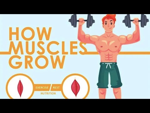 #musclegrow #growth #desai #YouTube  How does muscle grow.?|muscle growth|Av|Literally