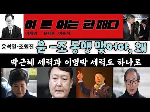 이문이는 한패다---<strong>윤조</strong>(윤석열 조원진)동맹+박근혜 이명박 세력도 하나로