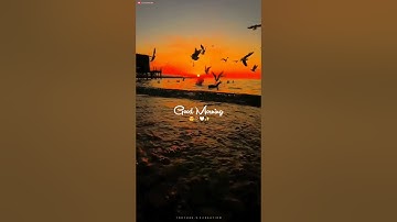 💞good morning friends ♥️🥱 | good morning status | morning status | #goodmorning | S.s Creation