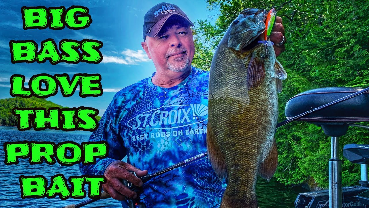 BIG BASS LOVE THIS PROP BAIT- New Season Teaser