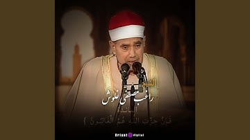 ما تيسر من سورة المائدة