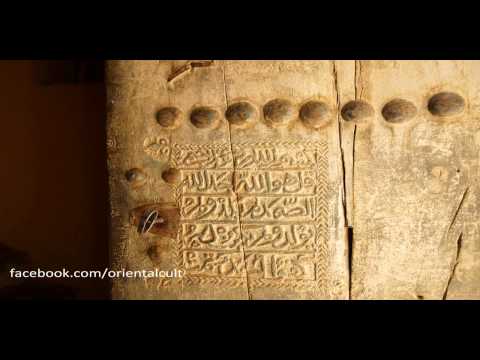 ضوء الحياة ضوء الحياة