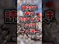絶対に春に読むべき小説#本 #小説 #春
